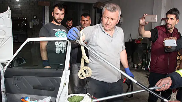 Konya-Karaman yolunda yılan paniği