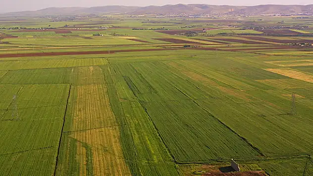 Konya Kazanır