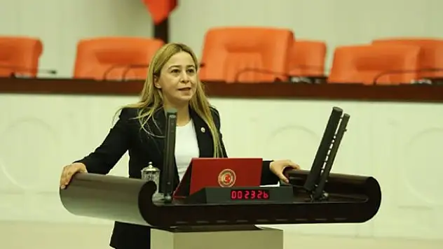 Konya Milletvekili Esin Kara çiftçi sorunlarını TBMM'nin araştırması için önerge verdi