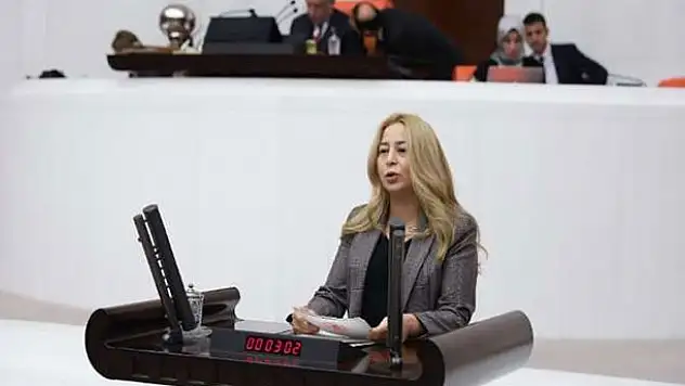 Konya Milletvekili Esin Kara'dan, Bağımsız Denetçilik hakkında soru önergesi