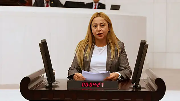 Konya Milletvekili Esin Kara'dan işitme engellilere ilişkin 3 farklı soru önergesi