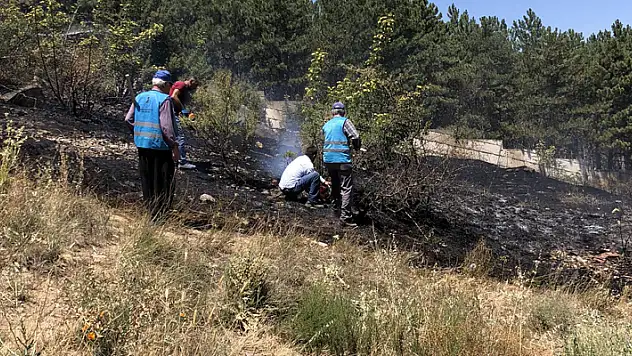 Konya'nın Akşehir ilçesinde 2 bölgede yangın çıktı! Alevler büyümeden söndürüldü
