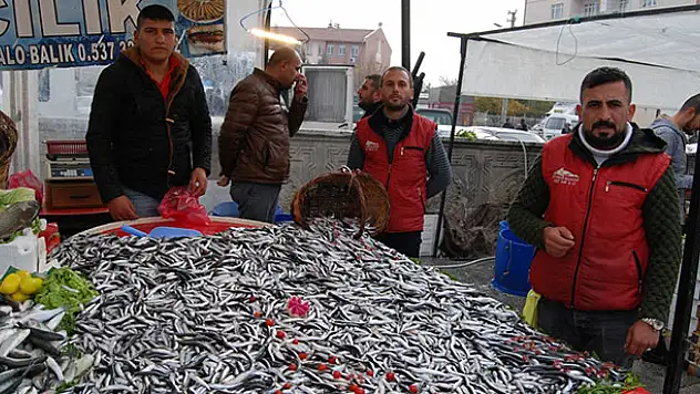 Konya'nın balık tercihi Hamsi ve İstavrit