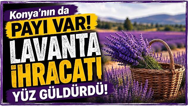 Konya'nın da payı var! Lavanta ihracatı yüz güldürdü