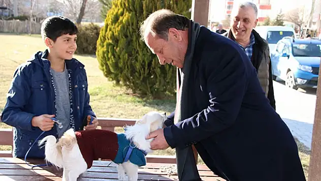 Konya'nın Ereğli ilçe Belediyesi sokak hayvanlarına kucak açıyor