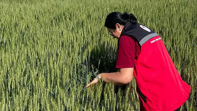 Konya'nın İlçelerinde üretim alanlarına sıkı takip