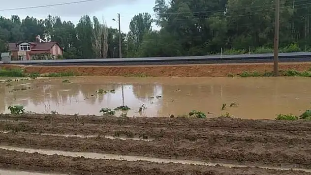 Konya'nın ilçelerinde yağışlar çiftçinin yüzünü güldürdü
