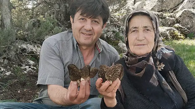 Konya'nın ilçesinde kuzugöbeği sezonu başladı