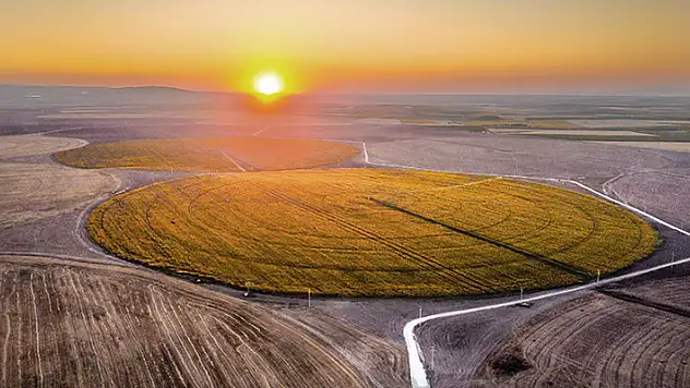 Konya'nın 'köşesiz' tarlaları sarıya büründü