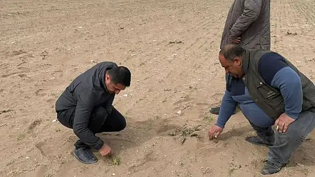 Konya'nın Kulu ilçesinde kum fırtınası ekili alanlara zarar verdi