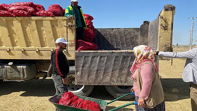 Konya'nın o belediyesi salçalık biber dağıttı