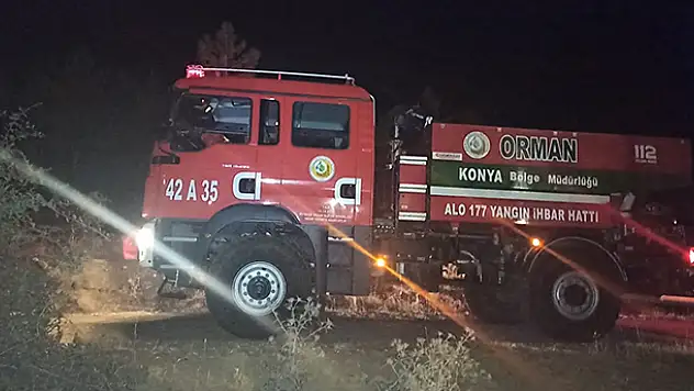 Konya'nın önemli simgelerinden Kuğulu Parkta yangın paniği