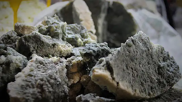 Konya'nın organik yeşillenen vazgeçilmez lezzeti: Küflü peynir