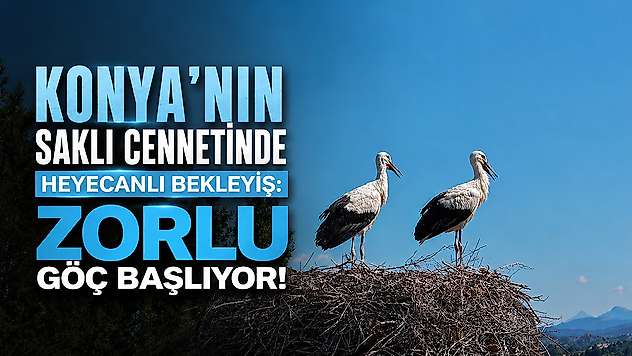 Konya'nın saklı cennetinde heyecanlı bekleyiş: Zorlu göç başlıyor!