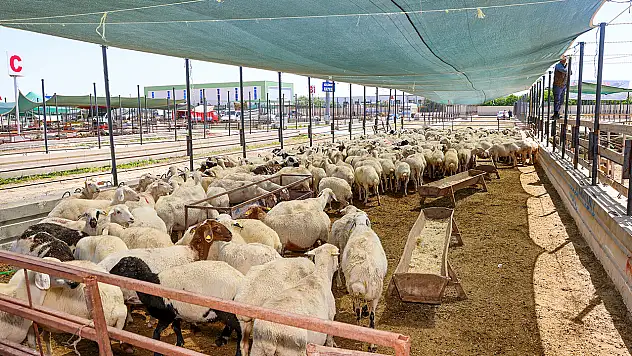 Konya'nın Selçuklu ilçesinde bayram seferberliği