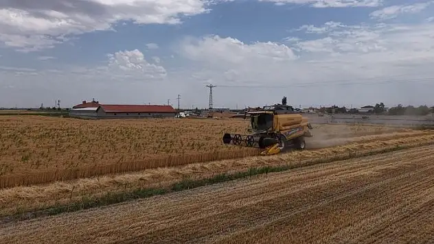 Konya Ovası alarm veriyor: Rekoltede 1 milyon tonluk düşüş bekleniyor!