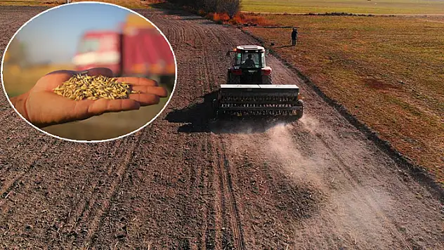 Konya Ovası ekime hazırlanıyor! Hububat hasadında cücelik virüsü ile karşılaşmamak için çiftçilere uyarı
