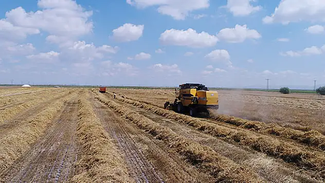 Konya Ovası'nda arpa hasadı başladı