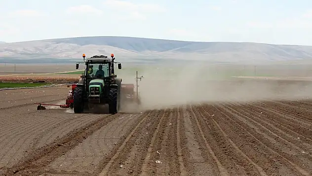 Konya Ovası'nda ayçiçeği ve pancarda yüksek rekolte bekleniyor
