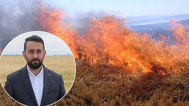 Konya Ovası'nda hasat başladı: Anız yakımı toprağın çoraklaşması ve verimsizleştirmesinde büyük rol oynuyor

