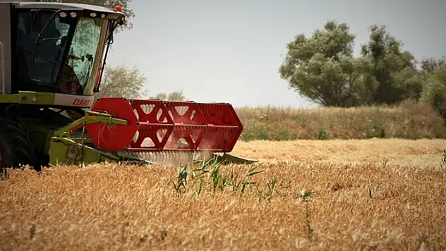 Konya Ovası'nda hasat sezonu yaklaşırken çiftçilere ürün satış uyarısı

