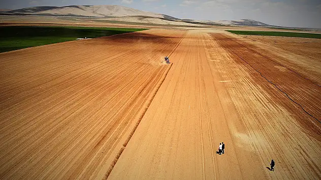 Konya Ovası'nda yağış bereketi
