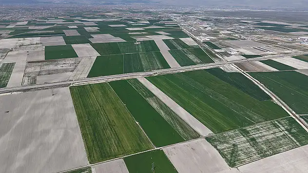 Konya Ovası'ndan müjde geldi: Bereket patlaması yaşanacak