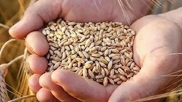 Konya Ovası'nın merakla beklediği karar geldi! Fiyatlar açıklandı