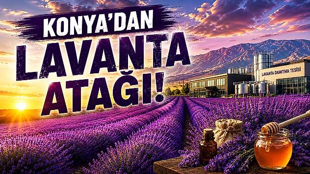 Konya Ovasında mor bereket: Konya ilk 5'e girdi!