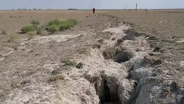 Konya ovasında obruklardan sonra yeni kabus: Sayıları her geçen gün artıyor