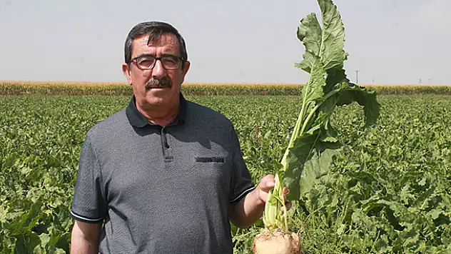 Konya Pancar ve Tarım Ürünleri Üreticileri Derneği: 'Şeker fabrikaları yaşatılmalı'