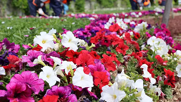 Konya rengarenk oldu! Görenleri manzarasıyla büyüledi