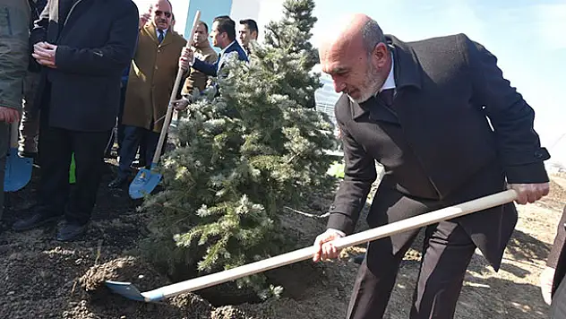 Konya Şehir Hastanesi çevresine 5 bin fidan dikildi