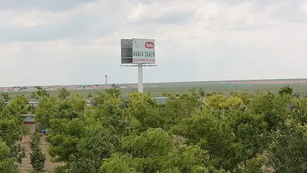 Konya Şeker 18 milyon fidan dikti