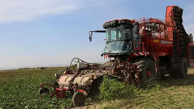 Konya Şeker'den 180 milyon 281 bin TL pancar söküm avansı
