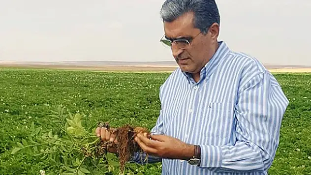 Konya Şeker'den patates üreticilerine hasat öncesi bayram avansı