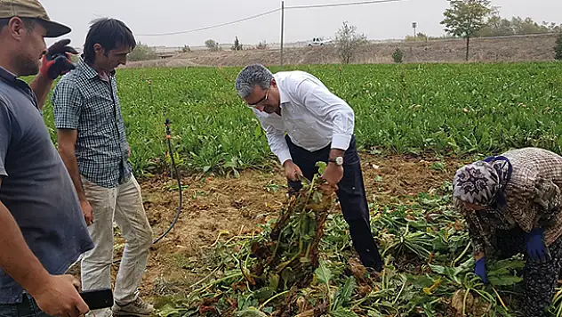 Konya Şeker'den üreticiye 34 milyon 410 bin lira avans desteği