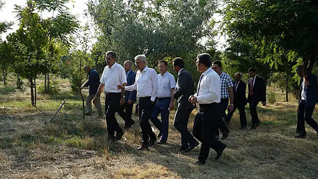 Konya Şeker'in ağaçlandırma projesine destek