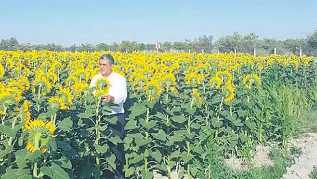 Konya Şeker'in ham yağ fabrikası hem çiftçiye hem ülke ekonomisine kazandırdı