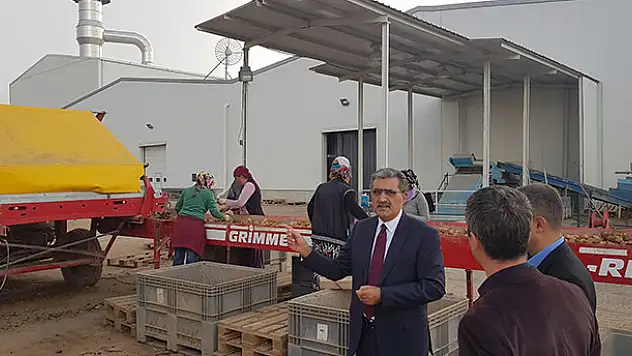 Konya Şeker'in tesisi ile Konya'da patates üretimi 3'e katlandı