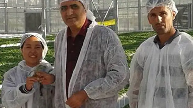 Konya Şeker kendi tohumunu üretti