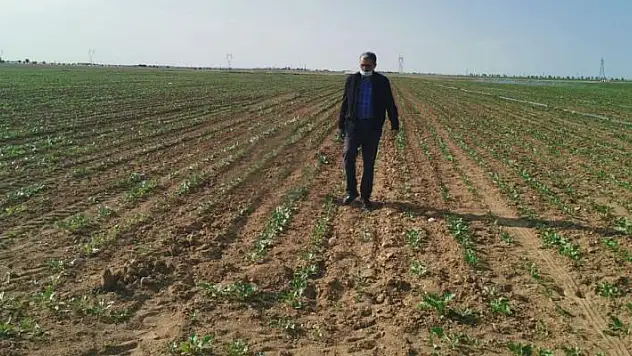 Konya Şeker'den 57 milyon 210 bin TL'lik nakit avans desteği
