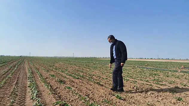 Konya Şeker'den üreticiye 27 milyon 937 bin TL'lik motorin avansı
