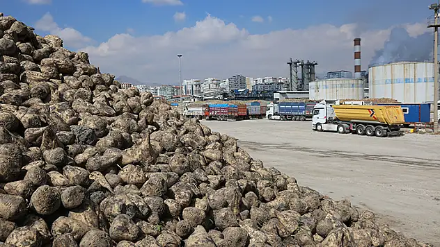 Konya Şeker'den üreticiye toplam 12 milyar 780 milyon 545 Bin TL'lik dev ödeme