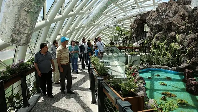 Konya Tropikal Kelebek Bahçesi giriş ücretlerine zam geldi! 