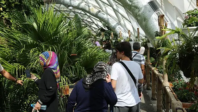 Konya Tropikal Kelebek Bahçesi ziyaretçi sayısında yeni rekor
