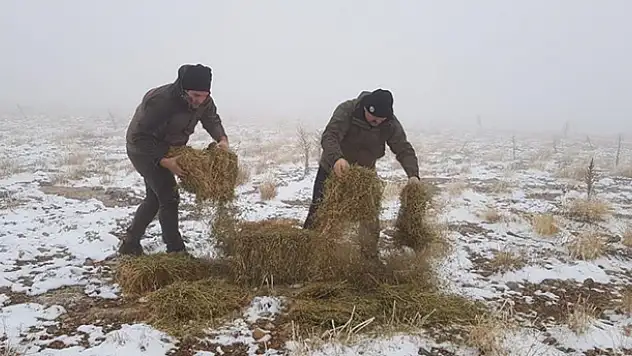 Konya ve Aksaray'da yaban hayatına yem desteği