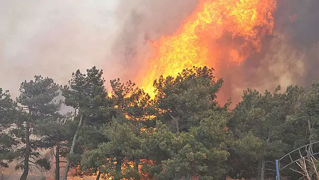 Konya ve çevre illerden orman yangınlarına yardım devam ediyor