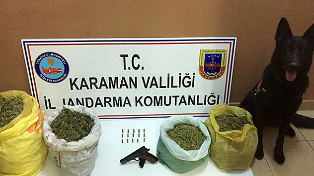 Konya ve Karaman'da esrar operasyonu