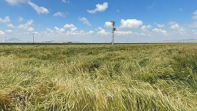 Konya ve Karaman'da hayata geçirilen 'Uygulamalı çiftçi okulu' enerji ve suda tasarruf, verimde artış getirdi
